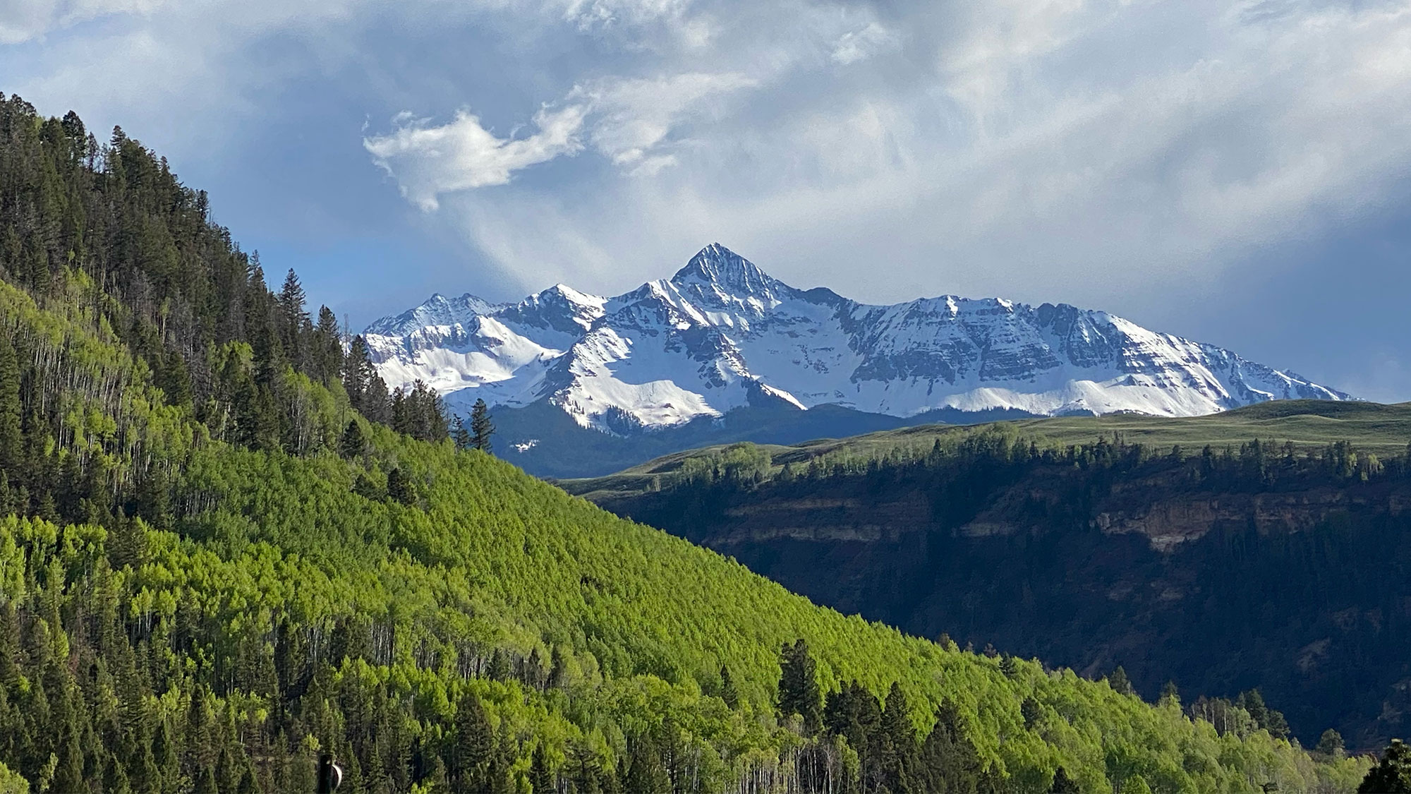 Willson Peak in Telluride surrounded by trees