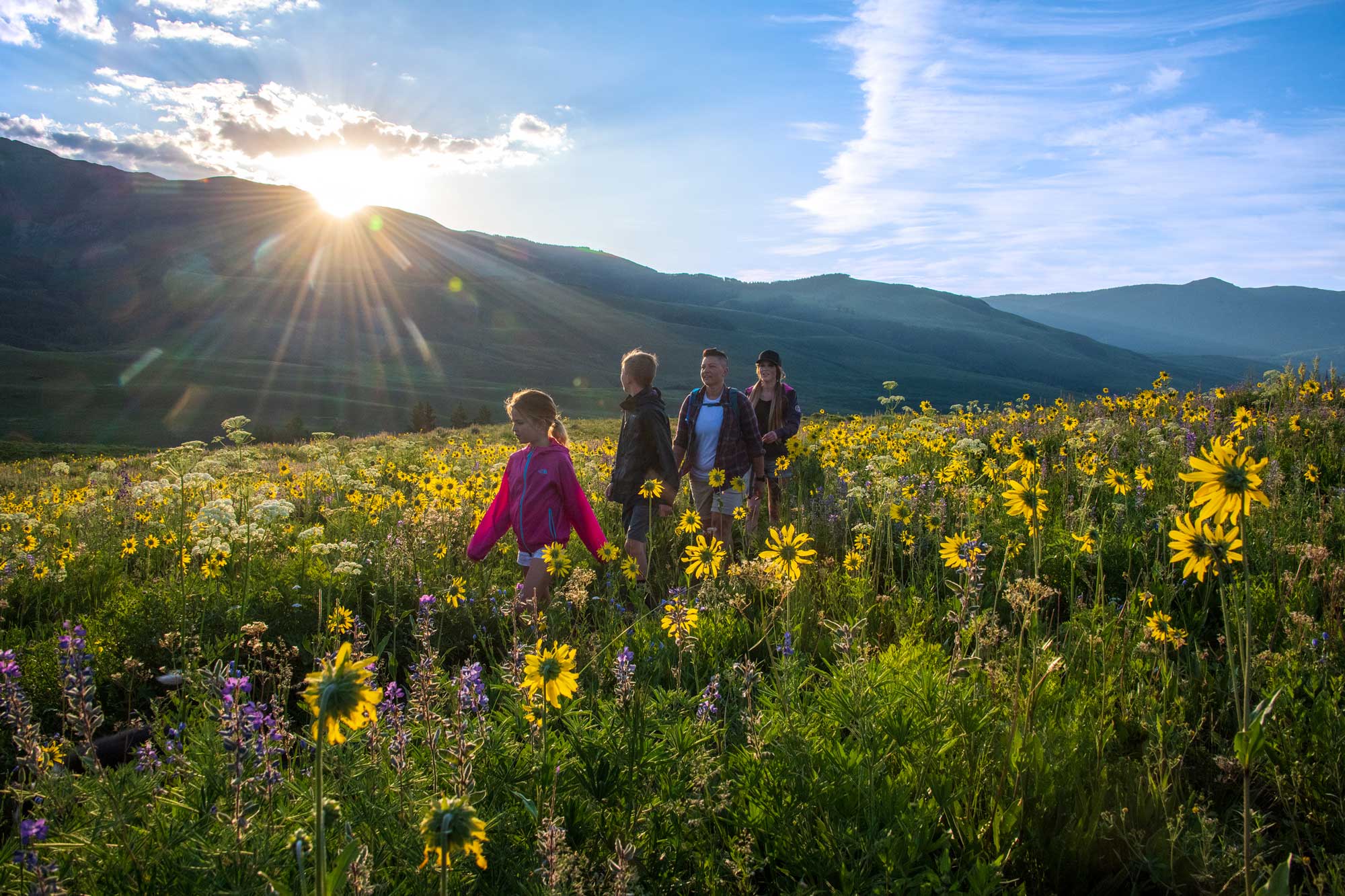 Family on a wildflower hike at sunset