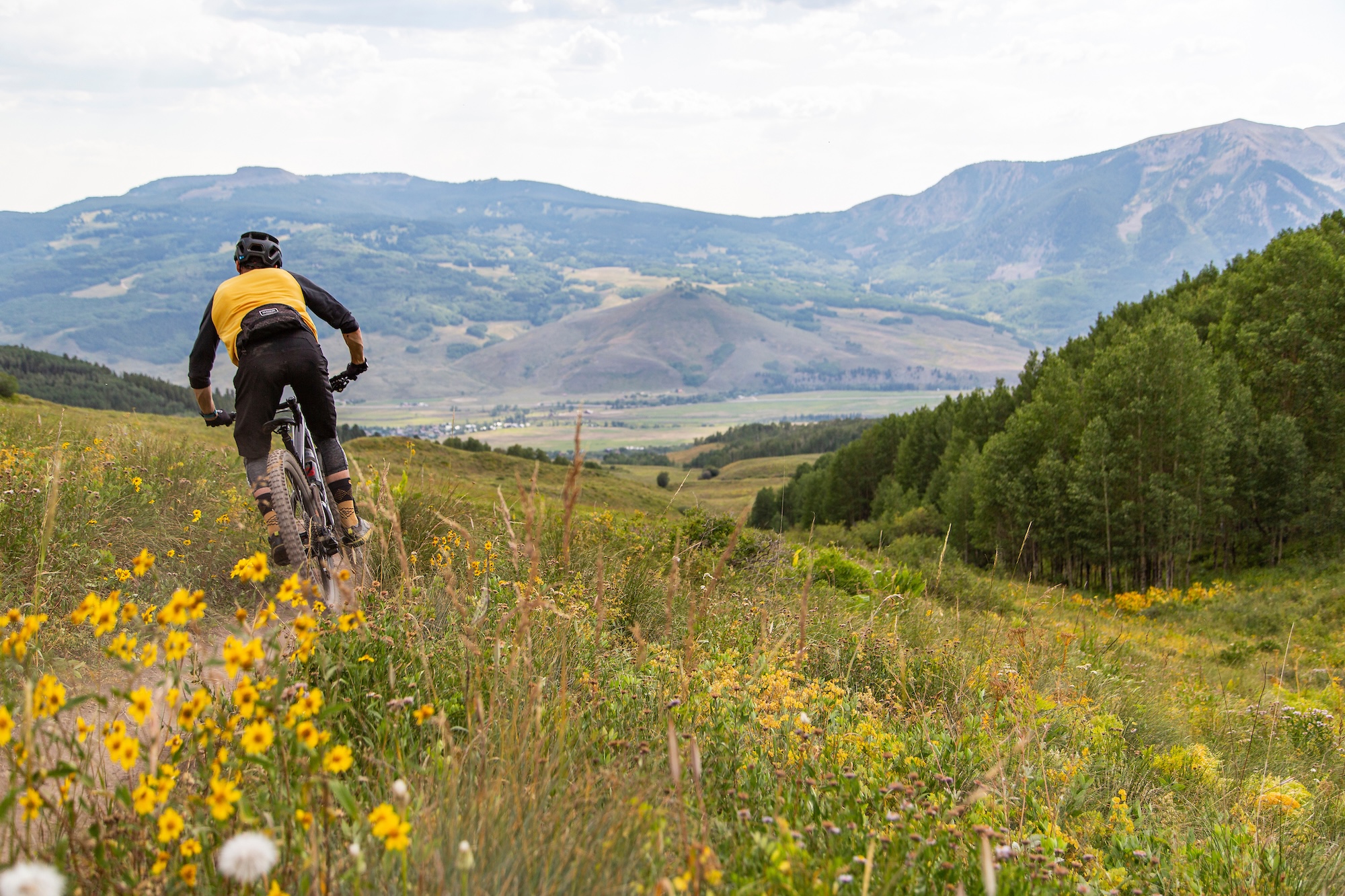 Mountain biker riding through wildflower-filled meadows in Crested Butte, Colorado.