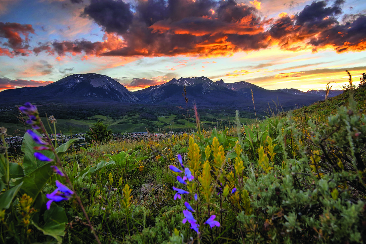 Wildflowers and green grasses stand in the foreground with mountain peaks in the distance. The sun is setting, casting the clouds in orange and grey hues.